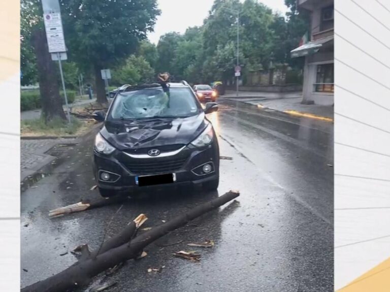 Огромно дърво падна и смаза кола в бурята в Пловдив
