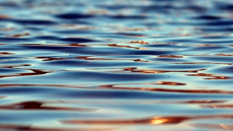 Тийнейджър се удави във водоем в Пловдивско