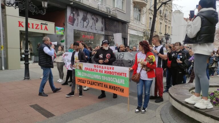 Протест в Пловдив с искане за строги наказания за насилие над животни
