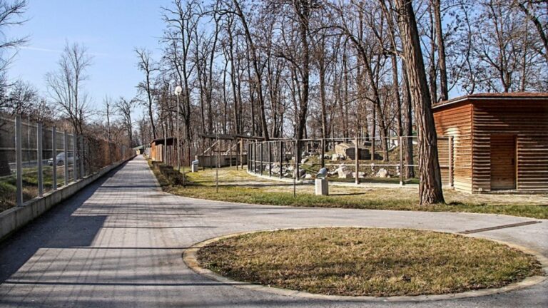 Венцеслав Петков е новият директор на зоопарка в Пловдив