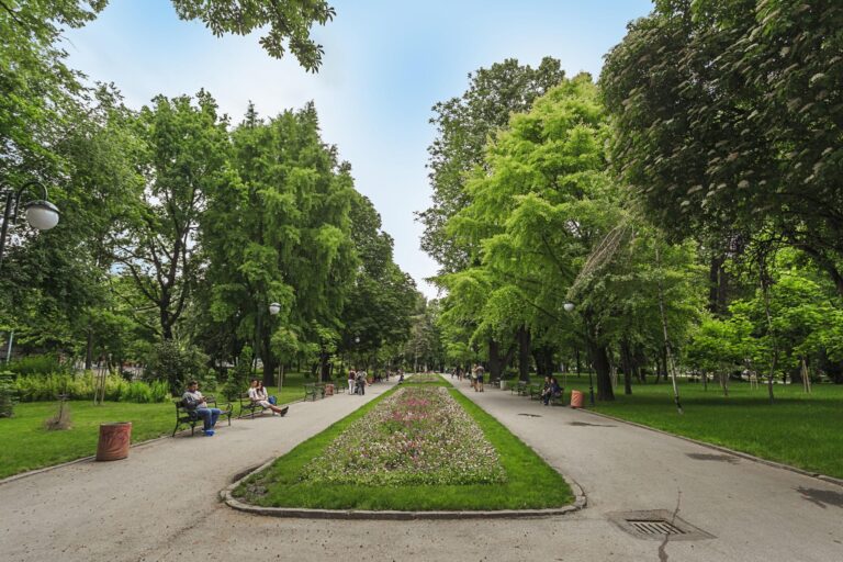 Проверки в парковете на район „Северен“ установиха нарушения от собственици на домашни любимци