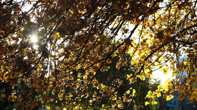 Слънчеви часове в по-голямата част от страната, вятър в Западна България