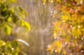 Дъждовно време продължава, температурен контраст между северозапад и югоизток