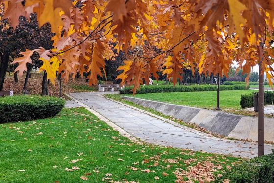 Топла ноемврийска тишина: слънчево време с мъгливи сутрини над страната