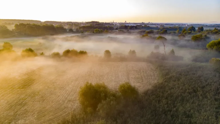 Студено утро, мъгли в низините и повече слънце през деня