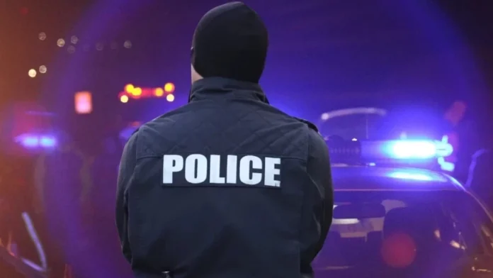 1200_1200_policai_edit_303833947764575
