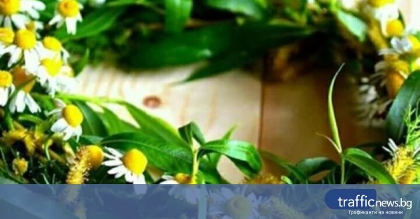 share_otbeliazvat-tsveten-zapaden-muzika-824