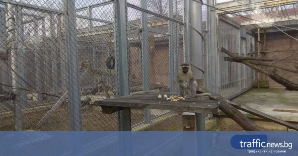 share_promeni-okolo-plovdivskiia-zoopark-027