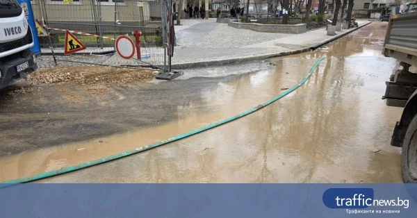 share_vtori-poreden-den-tarsiat-skrita-vik-327
