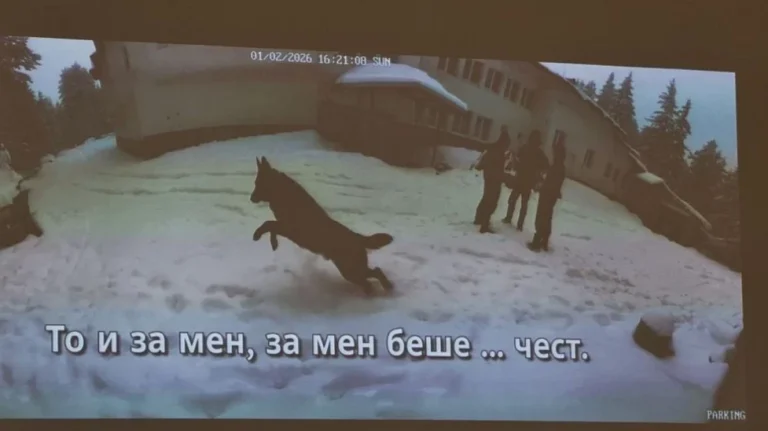 Майката на загинал в кемпер твърди за седми и осми човек в случая Петрохан