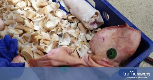 Над 3,5 тона месни продукти в Дулово ще бъдат унищожени