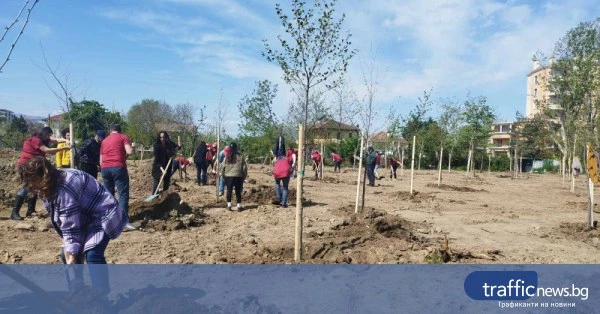 share_poveche-1000-zasadeni-darveta-plovdiv-108