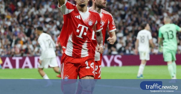 share_shampionska-liga-841