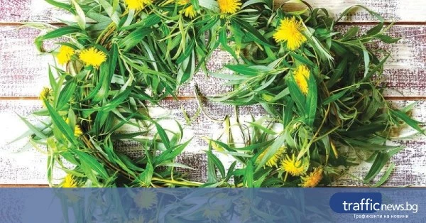 share_tsvetnitsa-e-praznuvame-edin-nai-653