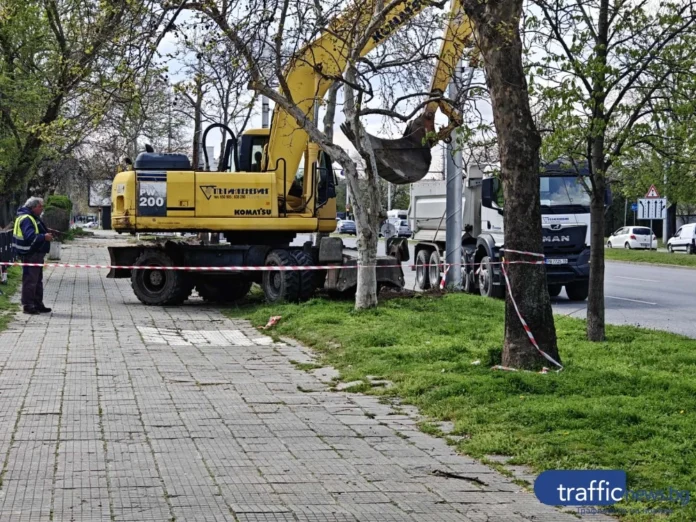 share_zelena-plosht-shte-zameni-planiran-942