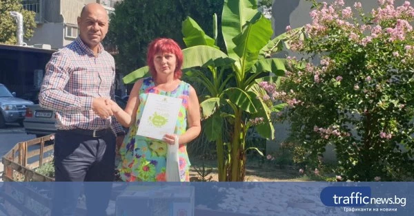 Община Пловдив обяви конкурс за междублокови градинки