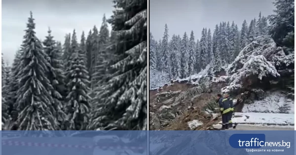 share_kadri-pokazvat-mashtaba-svlachishteto-699