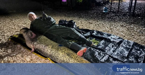 Рибар извади 80-килограмов сом в язовир край Белозем