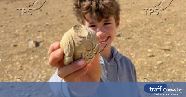 share_tps-otkritie-dete-pustiniata-dovede-163