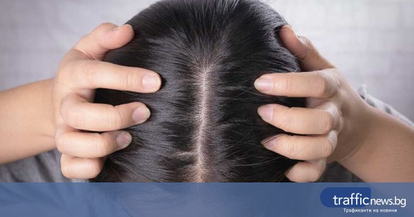 Въшки в пловдивски училища: какво съветват специалистите