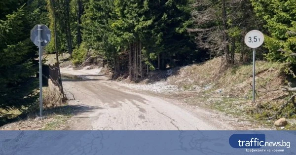 Асфалтират участъци от обходния път над свлачището край Пампорово