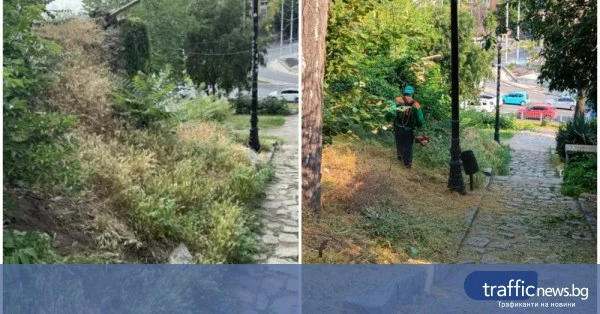 „Градини и паркове“ почистиха подхода към Небет тепе