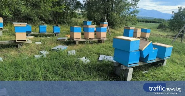 Градушка в Йоаким Груево унищожи реколта и повреди около 30 кошера