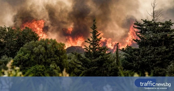 Горски пожар край Агиос Василиос в област Беотия, Гърция