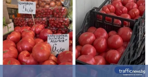 Разлика в цената на домата: от борсата до сергията в Пловдив