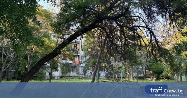Родители сигнализират за опасна детска площадка в „Южен“