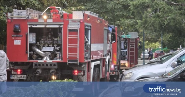 Сметната палата одитира разходите на МВР и Изпълнителната агенция по горите за 1,3 млрд. лв.