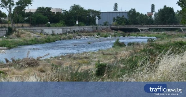 Асеновградчанин пред съда за смъртта на пастир при незаконна сеч край Първомай