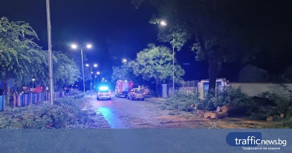 Пловдив разчиства след бурята: пожарникари, доброволци и общински екипи