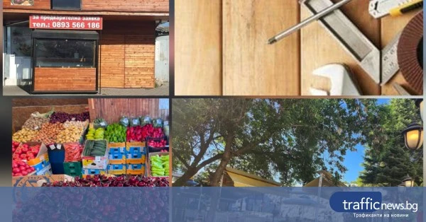 share_nova-aktsiia-nap-plovdiv-kultovoto-905