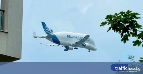 share_ogromen-tovaren-earbas-beluga-izletia-691