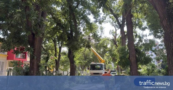 Пловдив продължава почистването след снощната буря