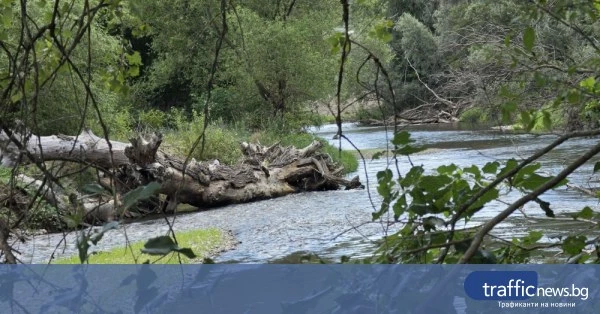 share_proveriavat-kritichni-uchastatsi-po-287