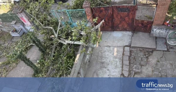 Съседи и доброволец освободиха блокирана от бурята възрастна жена в Пловдив