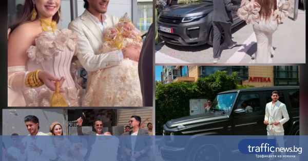share_tiktok-razkri-oholniia-zhivot-maiskiia-503