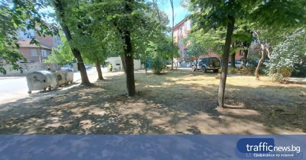 Общинските предприятия почистиха междублоковото пространство в Мараша