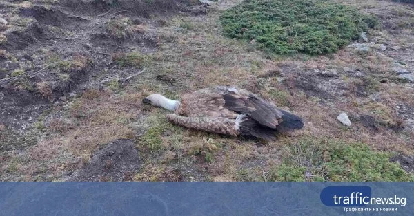 share_okrazhna-prokuratura-plovdiv-razsledva-987