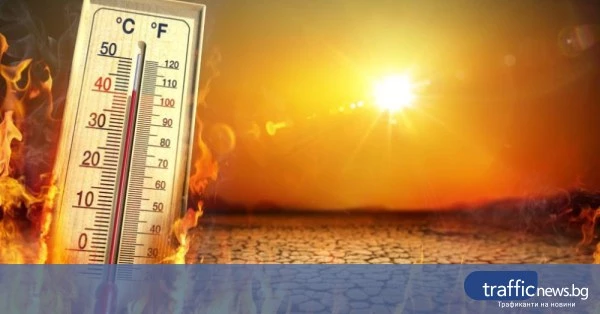 share_rekordni-395-smartni-sluchaia-zaradi-658