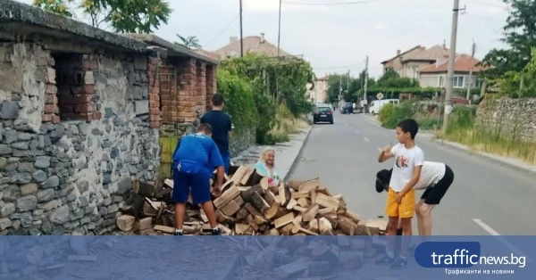 share_tri-detsa-ostaviha-igrata-da-pomognat-129