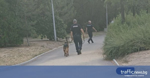 share_zakasniala-preventsiia-i-ili-izlishna-602