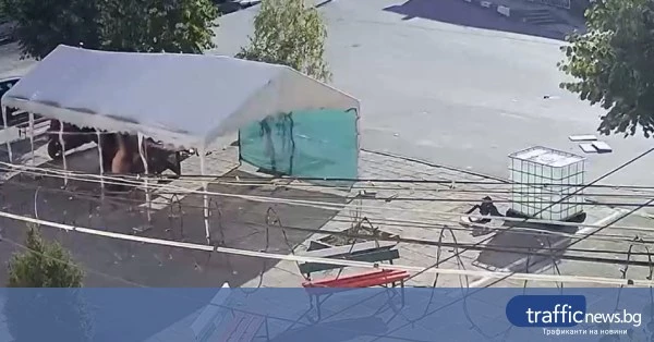 share_agresiia-grupa-vandali-sozopolsko-selo-872