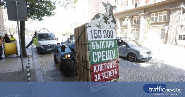 share_dve-sedmitsi-kletka-protestirashti-se-515