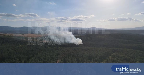 Пожар в борова гора край язовир Копринка