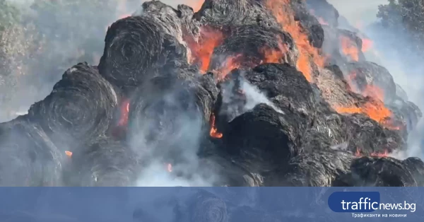 Пожар край Горно Сахране спря движението по линията София–Бургас
