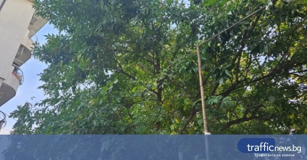 share_premahnaha-opasni-kloni-opleteni-kabeli-344