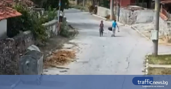 share_proveriavat-sluchai-macheniia-kuche-701